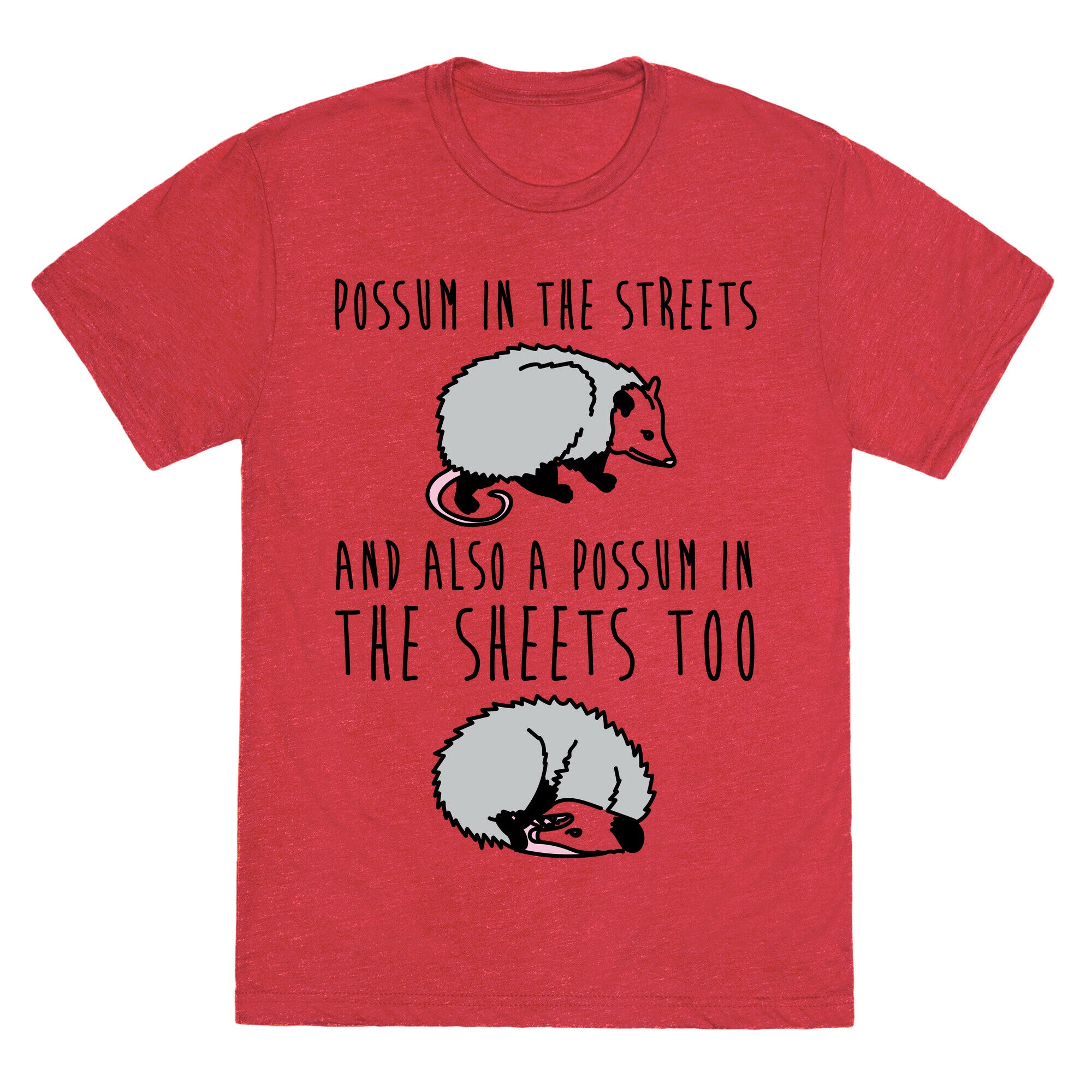 Possum In The Streets and Also A Possum In The Sheets  Unisex Triblend Tee